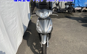 OTHER DIO 110
