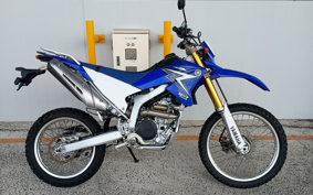 YAMAHA WR250R DG15J