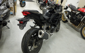 KAWASAKI NINJA 250 EX250L