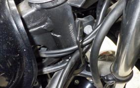 KAWASAKI NINJA 300 2013