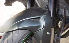 KAWASAKI ZX-4RR 2023