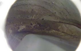 HARLEY FXDWG 1450 2003