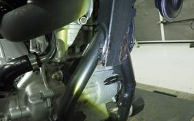 YAMAHA WR250X 2021 DG15J