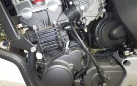 HONDA HORNET 250 2013 MC31