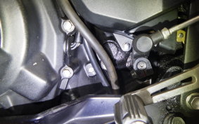 KAWASAKI NINJA 250 EX250P