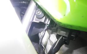 KAWASAKI ZX-4RR 2024 ZX400P