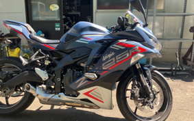 KAWASAKI NINJA ZX-25R SE ZX250E