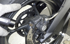 TRIUMPH STREET TRIPLE R 2024