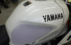 YAMAHA XSR900 GP 2024 RN96J