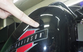 HARLEY XL1200X 2021