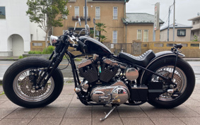 ROAD HOPPER PRO TO  TYPE2 2011 HR3