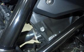 BMW G310R 2023