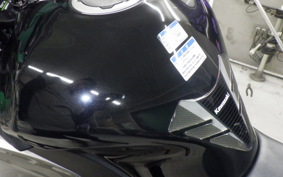 KAWASAKI NINJA 1000SX 2024 ZXT02K