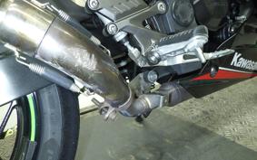 KAWASAKI NINJA 250 SL