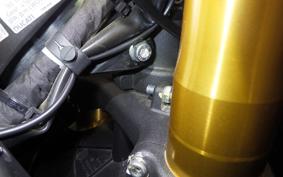 DUCATI パニガーレV2S 2025