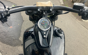 HARLEY FXFBS 2024 YLK