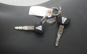 KAWASAKI NINJA 250 EX250P