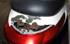 YAMAHA AXIS 125 TREET 1981 SE53J
