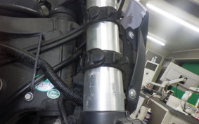 KAWASAKI KLX250D TRACKER X 2017 LX250V