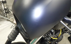 HARLEY XL1200NS 2021