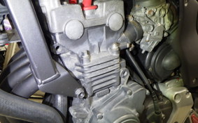 HONDA HORNET 250 2022 MC31