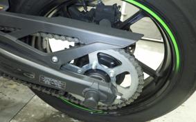 KAWASAKI ZX-4RR 2024 ZX400P