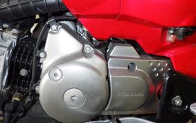 HONDA CT125 HUNTER CUB