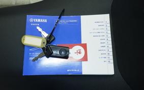 YAMAHA X-MAX 250 SG70J