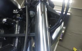 OTHER +HD. XL883N 2015