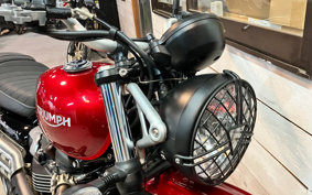 TRIUMPH SCRAMBLER 2022 DAD78G