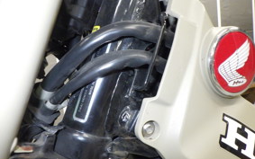 HONDA CT125 HUNTER CUB JA55