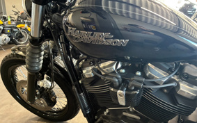 HARLEY FXBB 2020 YJJ