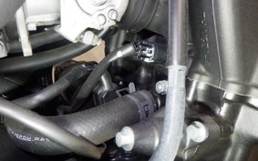 HONDA REBEL 500 A 2021 PC60