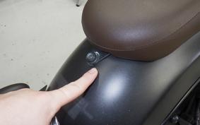 HONDA REBEL 250 S MC49
