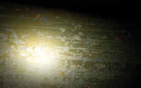 YAMAHA AT90 2014 Y30