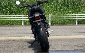 SUZUKI GSX-8T 2026 EM1AA