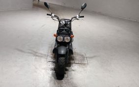 HONDA ZUMAR AF58