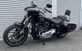 HARLEY FLSB 2025 YMJ