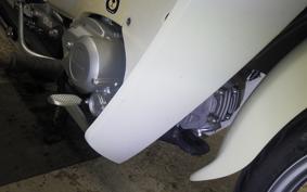 HONDA C110 SUPER CUB