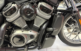 HARLEY RH975S NIGHT STAR 2025 ZF1