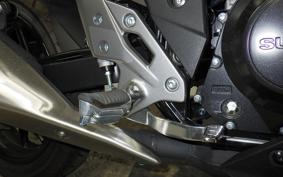 SUZUKI GSX250 R 2007