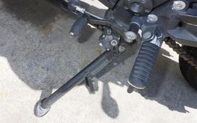 KAWASAKI NINJA 250R 2024 EX250K