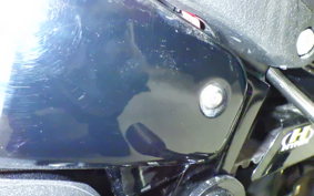 HARLEY FXLRST1920 2023