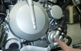 KAWASAKI KLX250D TRACKER X 2017 LX250V