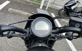 HONDA  REBEL 250 ABS MC49