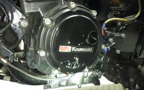 KAWASAKI GPZ900R NINJA 1988 ZX900A