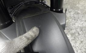 HARLEY ﾊﾟﾝ AMERICA1250S 2021