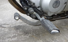 YAMAHA VIRAGO 250 TRIKE 3DM