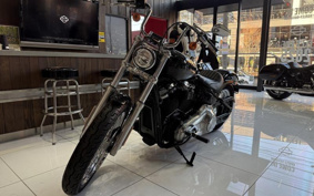 HARLEY FXST1340-1450 2020 BVJ