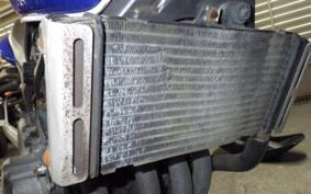 HONDA HORNET 250 2018 MC31